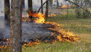 Как не допустить лесных и торфяных пожаров