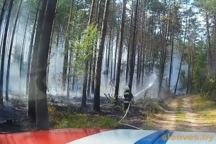 В Слонимском районе горел лес