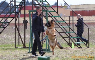 В Слониме открылась площадка для дрессировки собак
