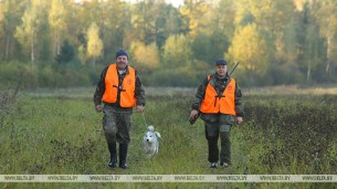 В Беларуси упростили правила охоты. 
Чего коснулись главные изменения?